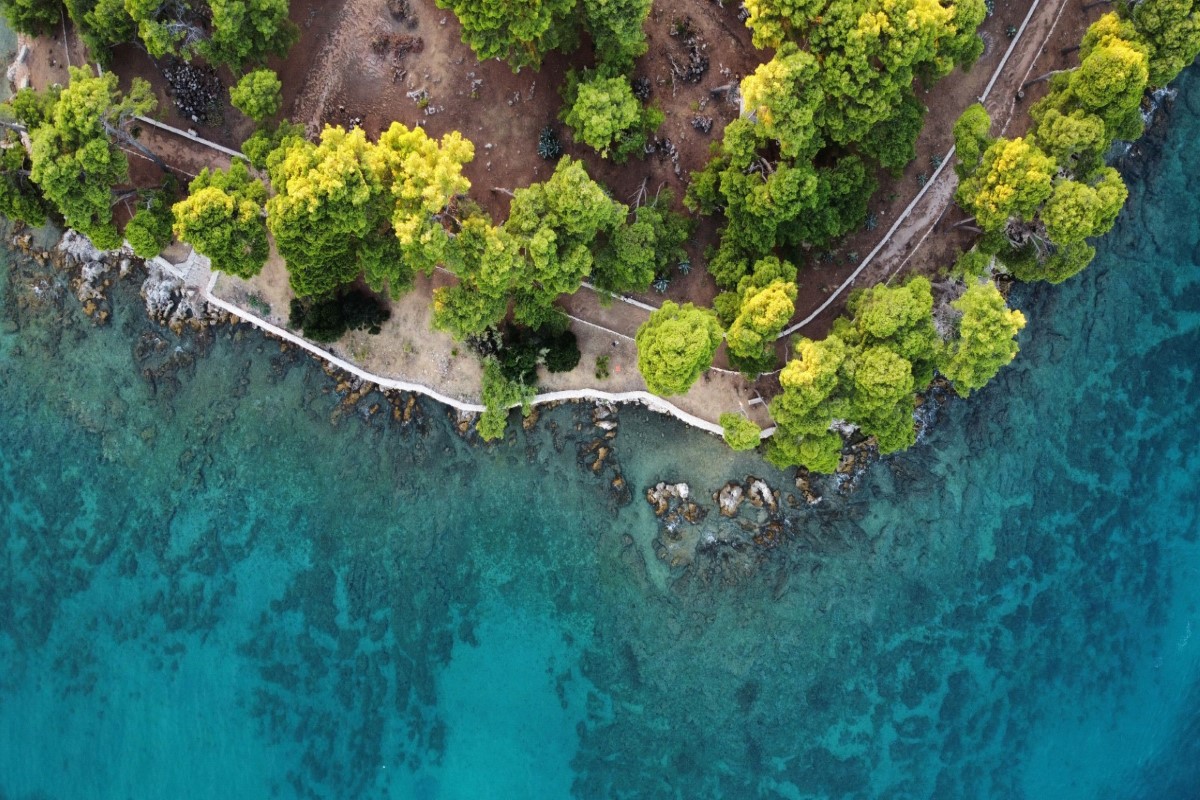 Guided Speedboat Tour